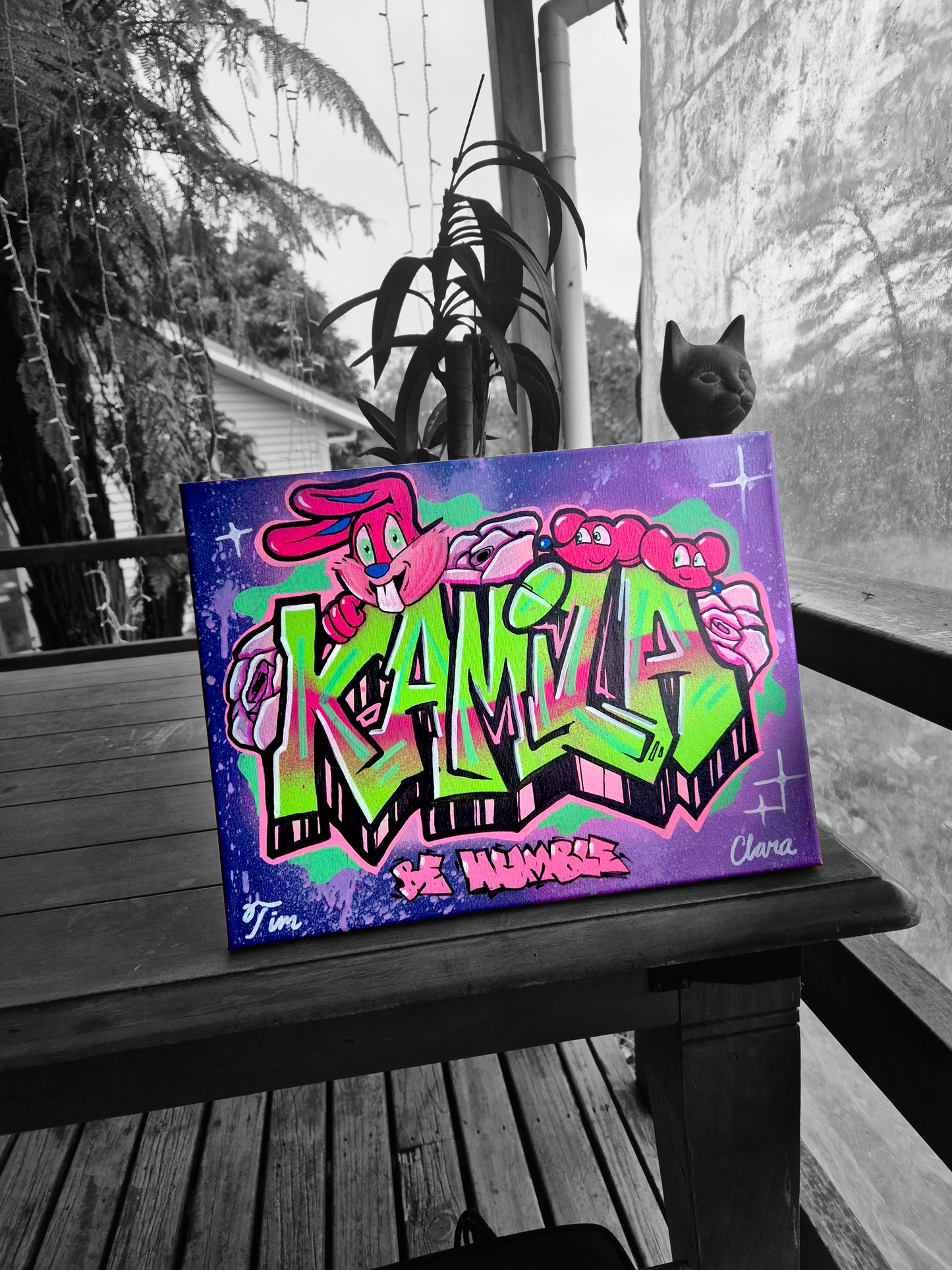 Canvas