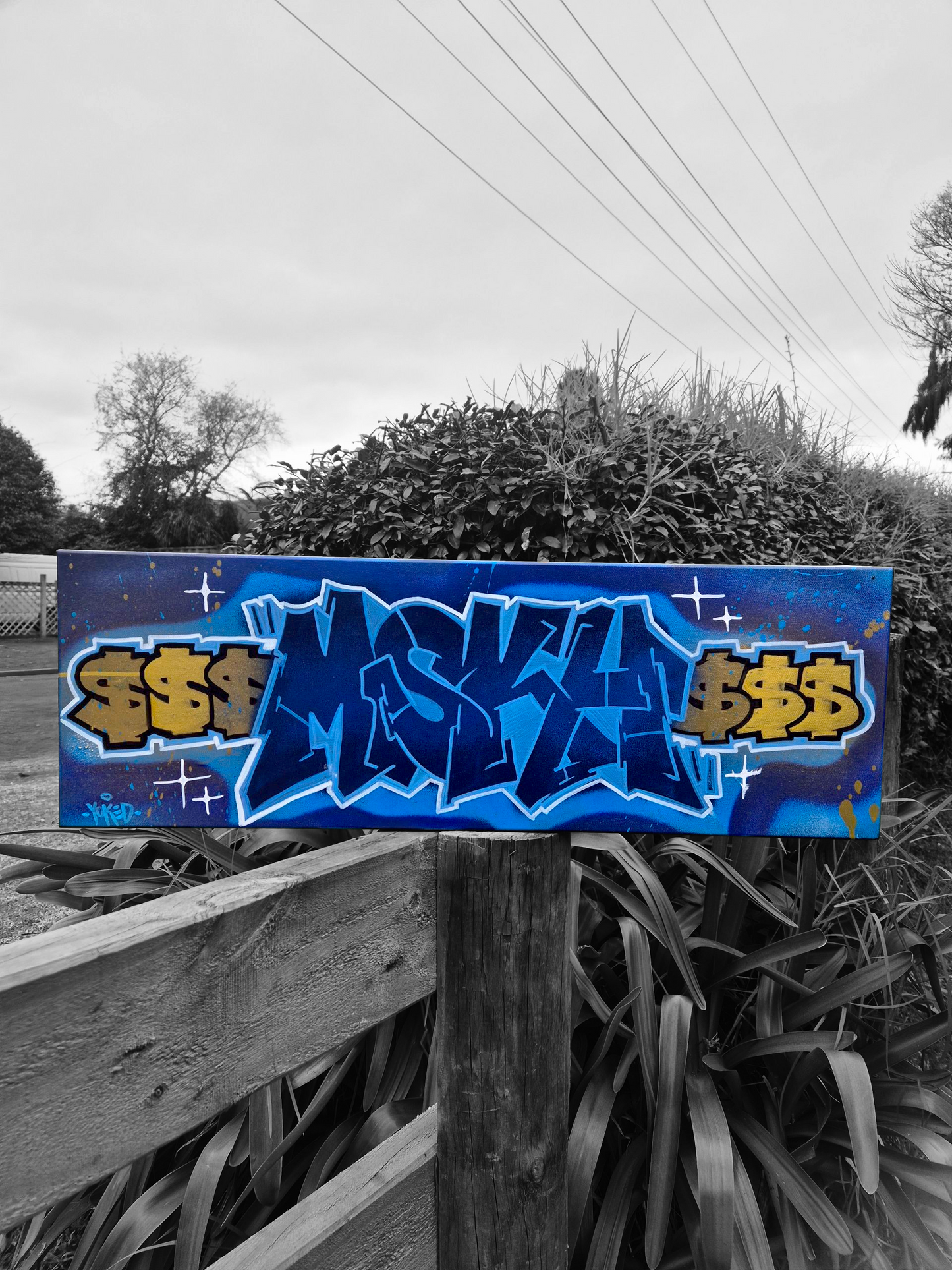 Canvas